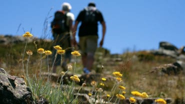 Mansfield & Mt Buller, Hiking and Walking