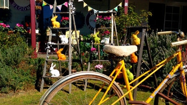 Cycle-Trail-Summer-Mansfield-16x9 Mansfield & Mt Buller, Shopping and Markets