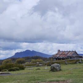 Craigs Hut High Country Scenic Tours