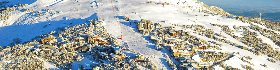 Mansfield & Mt Buller