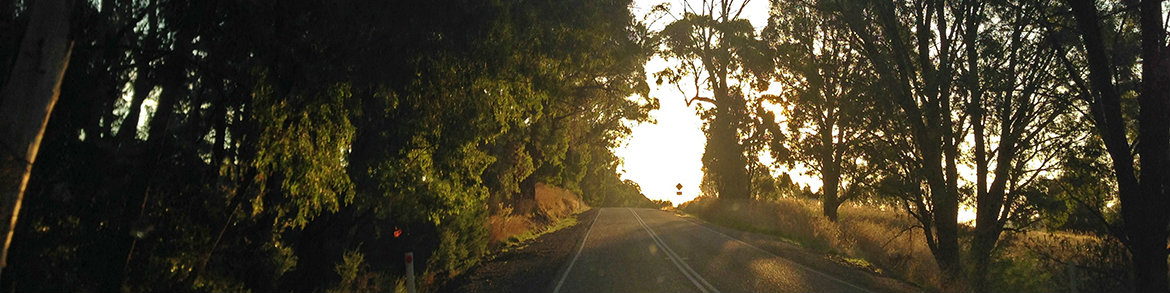 Mansfield & Mt Buller, Touring Routes