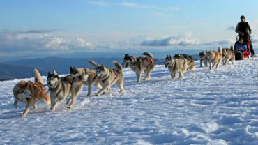 Mansfield & Mt Buller, Top Snow Activities