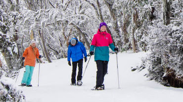 Mansfield & Mt Buller, Top Snow Activities