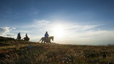 Mansfield & Mt Buller, Summer Holiday Packages