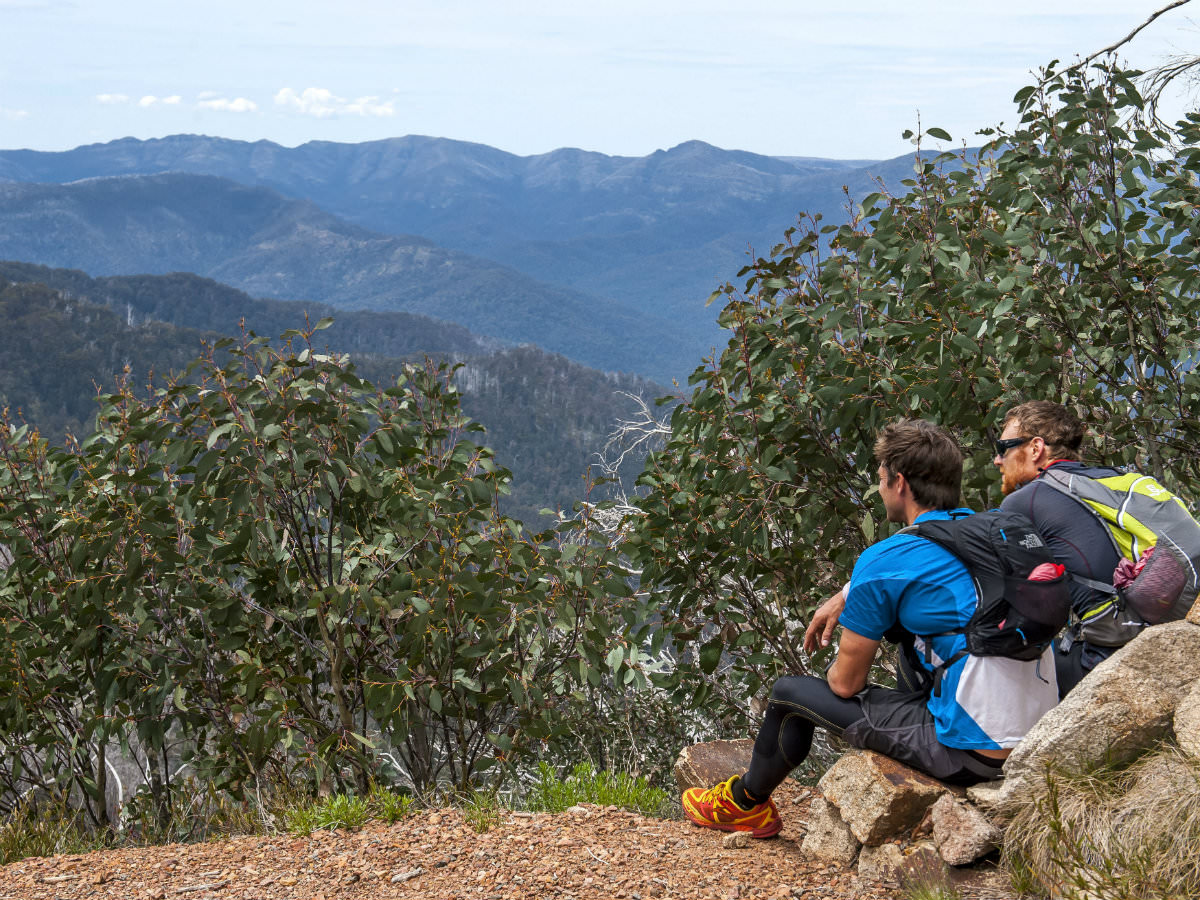 Run Buller - Mansfield Mt Buller