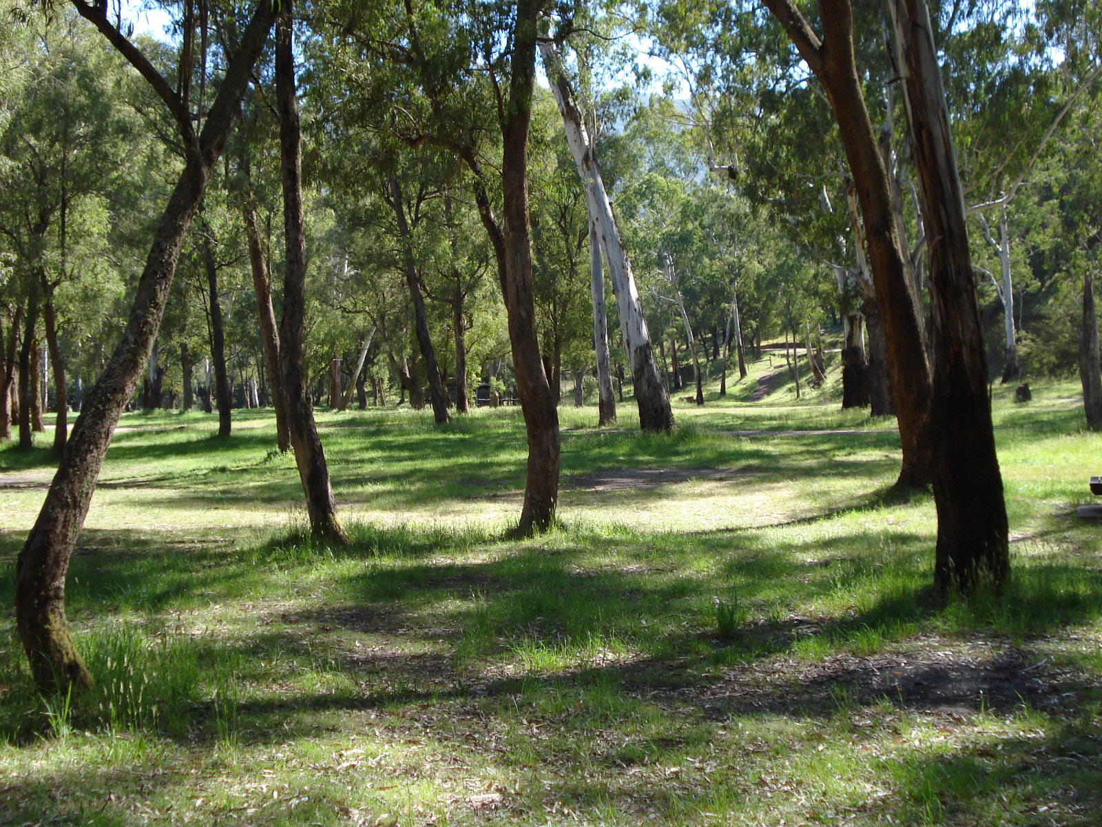 Sheepyard Flat - Mansfield Mt Buller