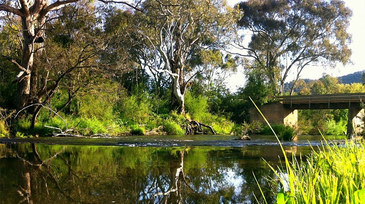 Goughs Bay, Mansfield Mt Buller
