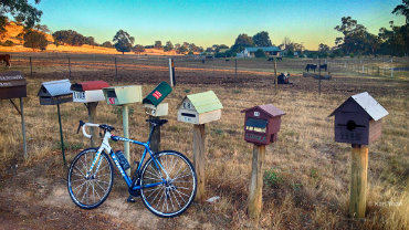 Cycle-Road-Summer-Mansfield-16x9 Mansfield & Mt Buller, Cycle the High Country