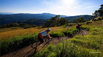 mountain biking, Mt Buller mountain biking, Mt Buller