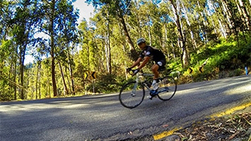 Cycling, Mt Buller Cycling, Mt Buller