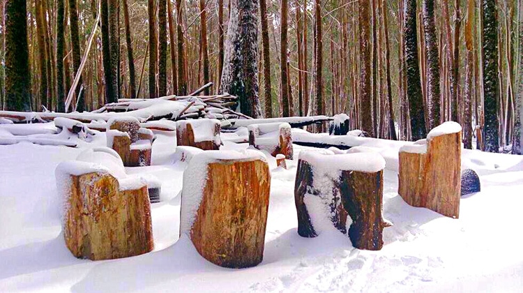 Winter, Mansfield Mt Buller