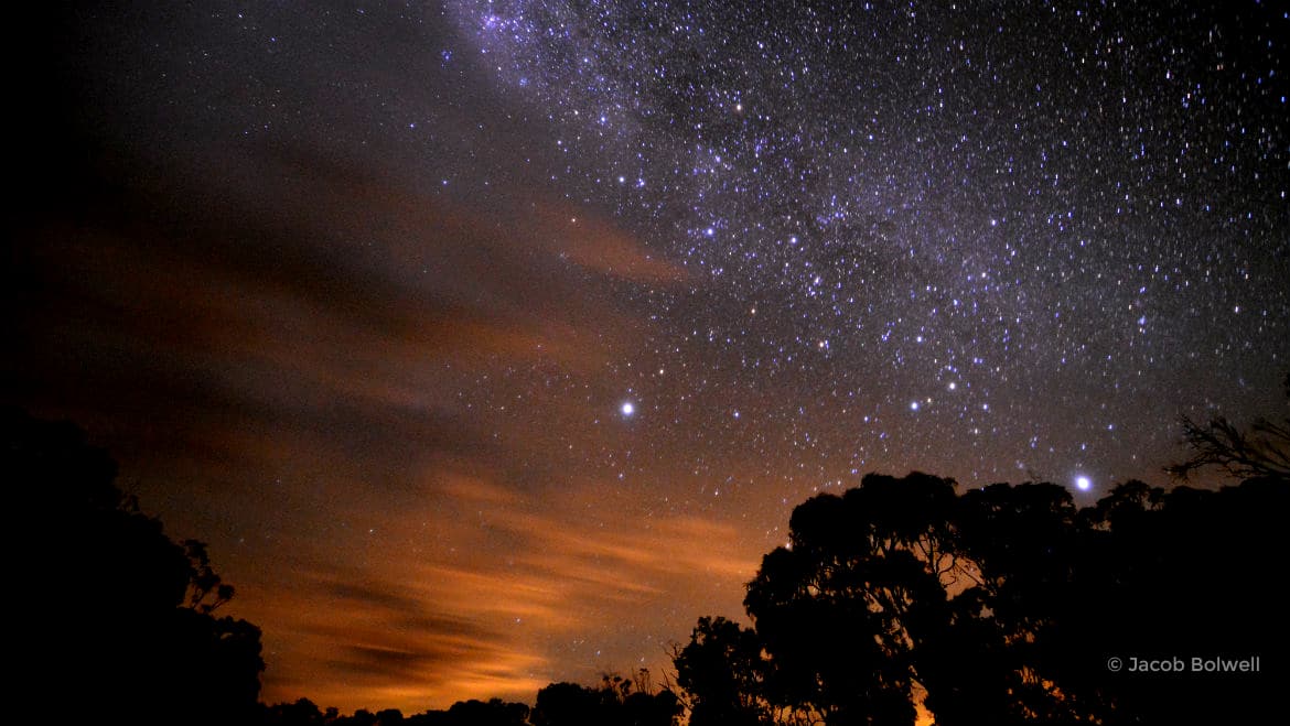 Mansfield & Mt Buller, National Parks & State Forests