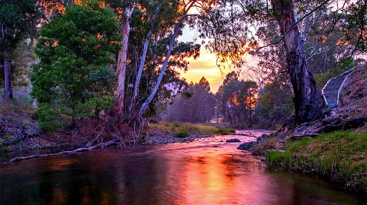 Summer, Mansfield Mt Buller