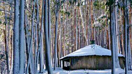 Mansfield & Mt Buller, Skiing and Snowboarding