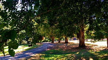 Mansfield & Mt Buller, Nature & Wildlife