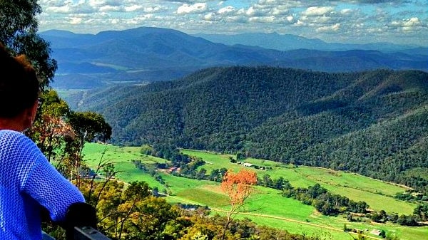 Mansfield & Mt Buller, Tolmie