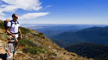 Nature-Walk-Summer-MtBuller-16x9 Mansfield & Mt Buller, Discover Now