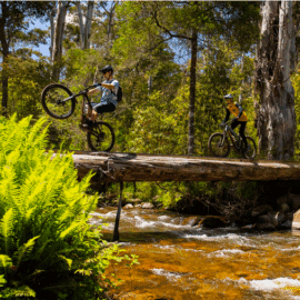 Delatite River Trail Get Out There