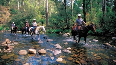 Mansfield & Mt Buller, Horse Riding