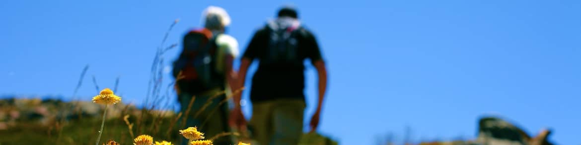 Mansfield & Mt Buller, Leave no Trace