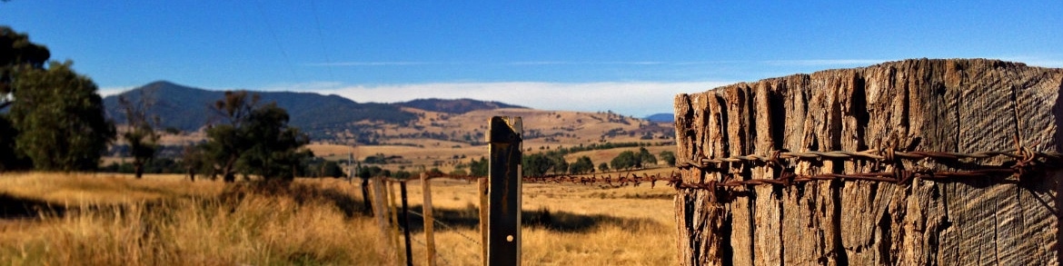 Nature-Views-Summer-Mansfield-4x1