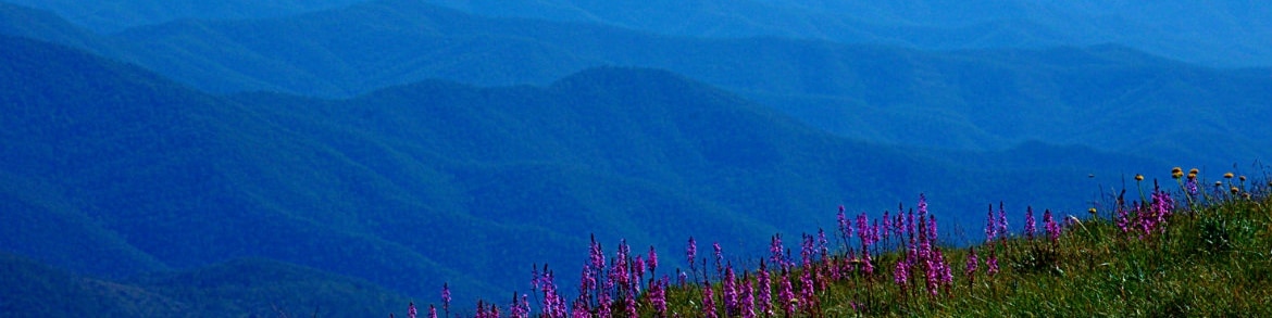 Mansfield & Mt Buller, Safety & Planning