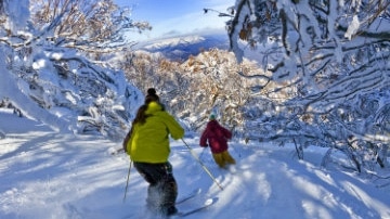 Mansfield & Mt Buller, Skiing and Snowboarding
