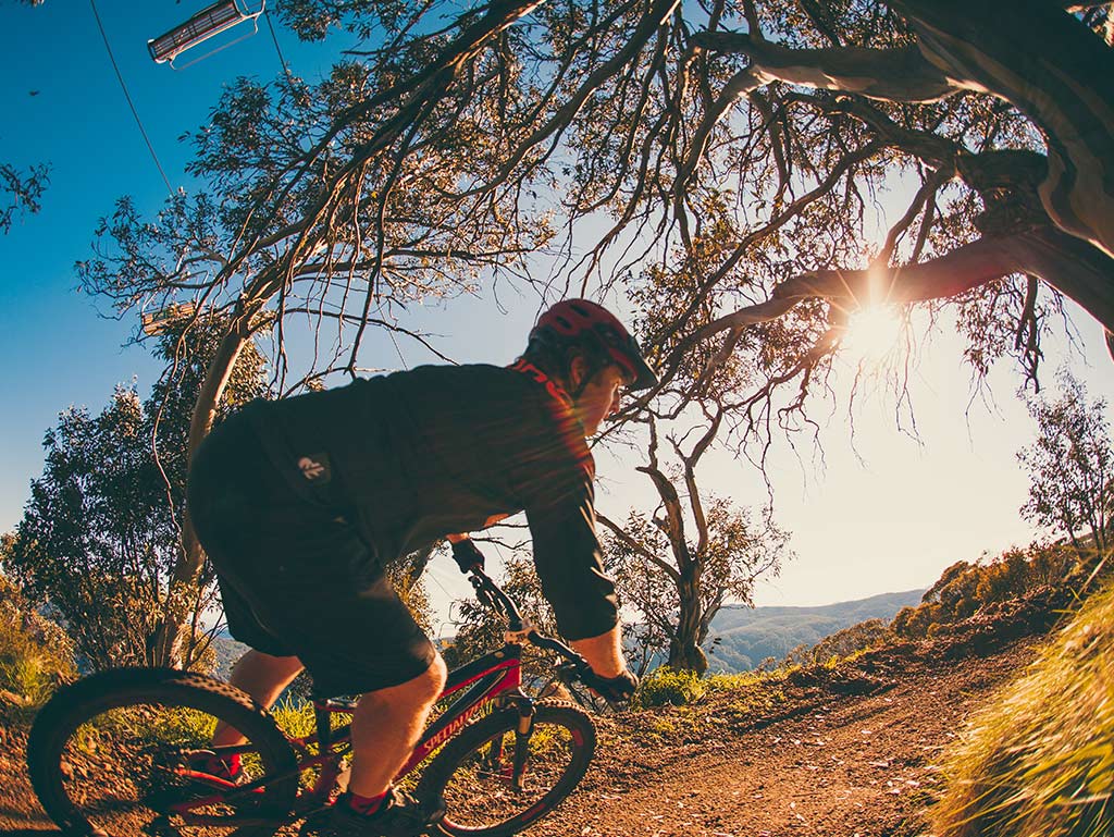 MTB Bike Buller Mountain Bike Ride High Country