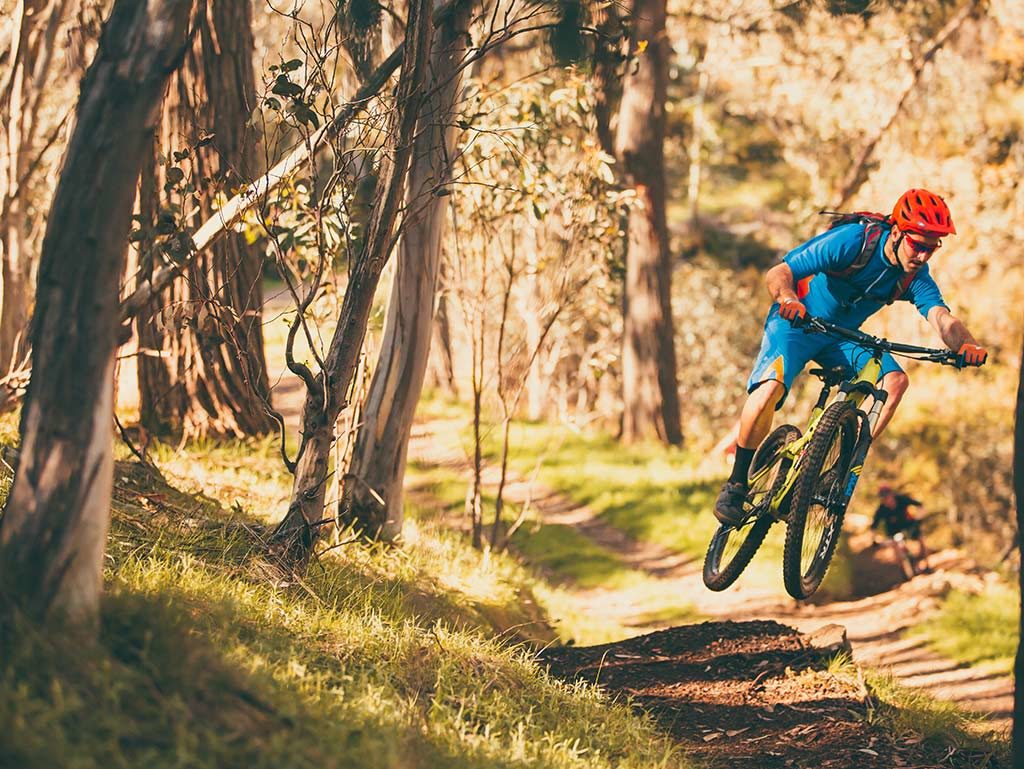 ABOM - Mansfield Mt Buller