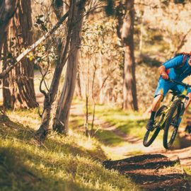 MTB Bike Buller Mountain Bike Ride High Country