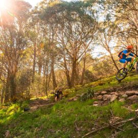 MTB Bike Buller Mountain Bike Ride High Country