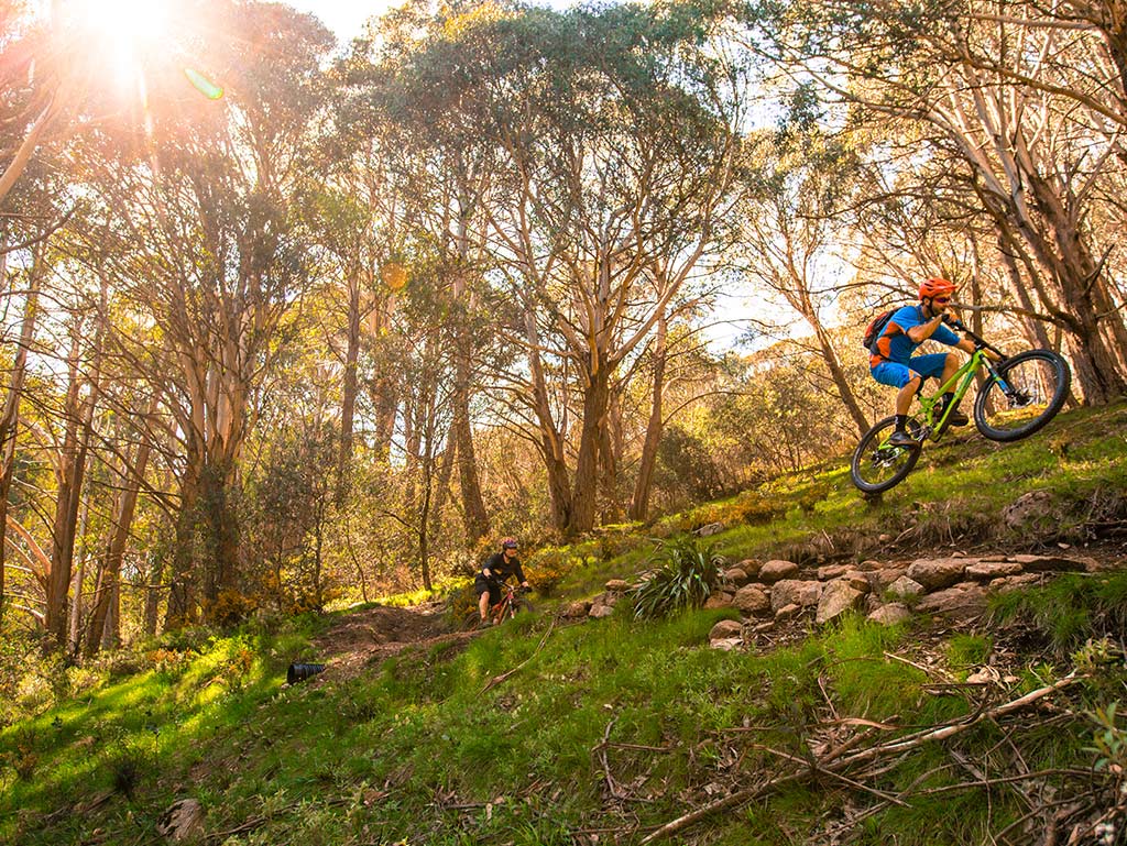 MTB Bike Buller Mountain Bike Ride High Country