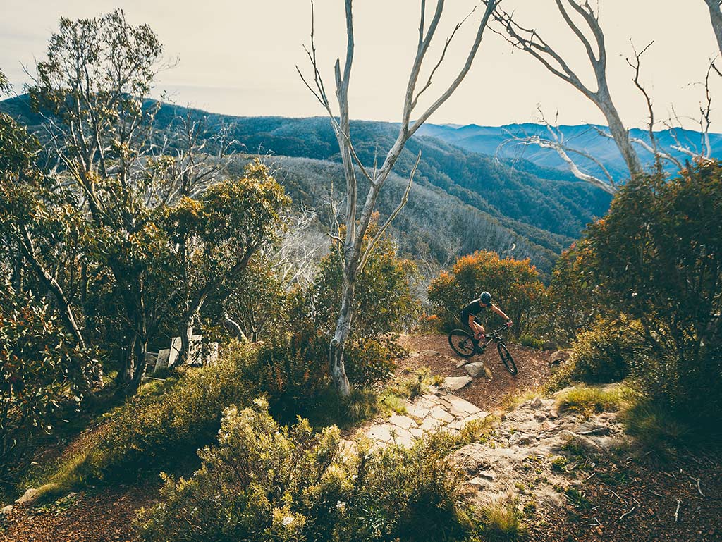 MTB Bike Buller Mountain Bike Ride High Country