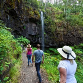 Bindaree Falls summer