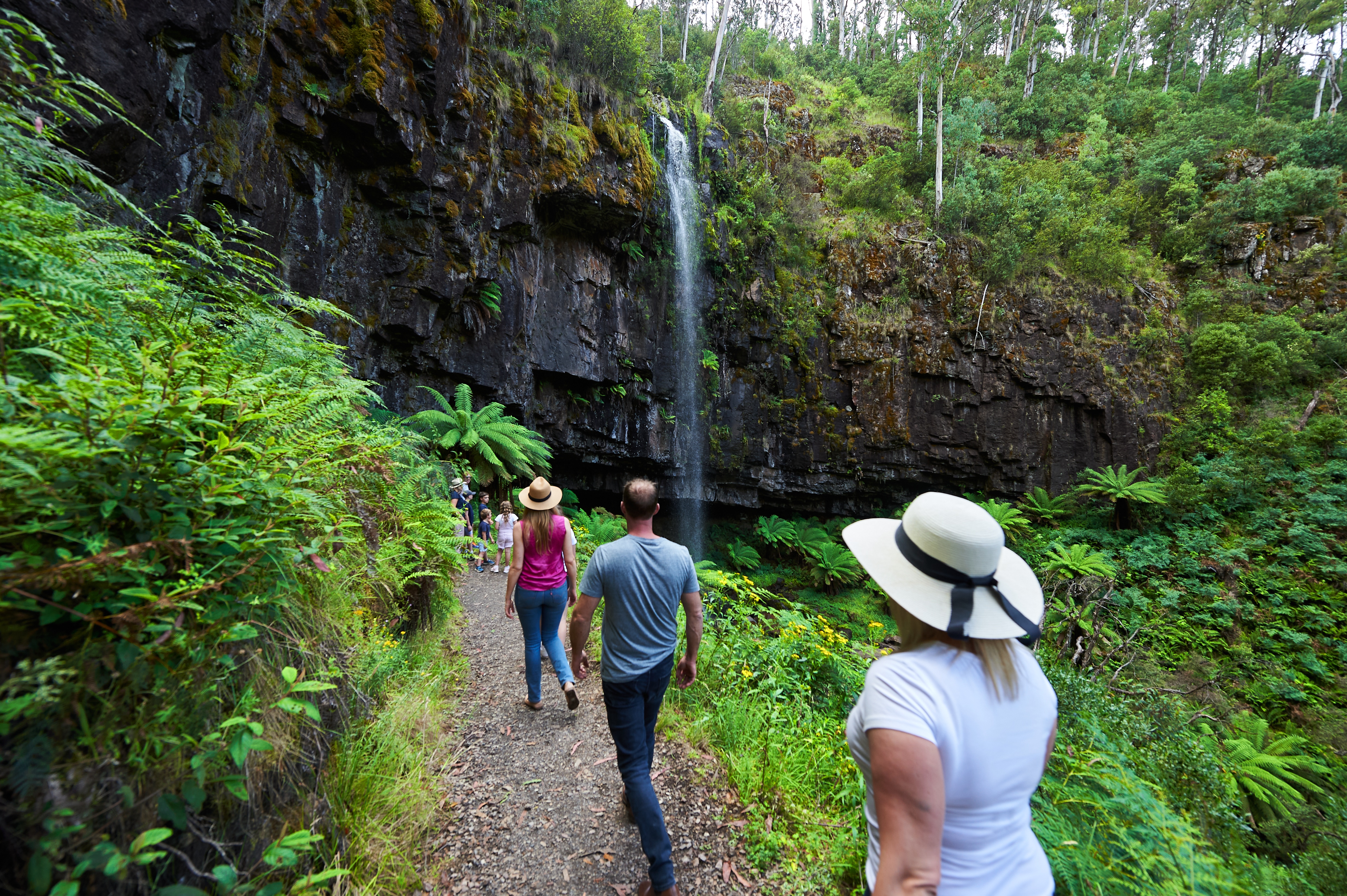 Bindaree Falls summer