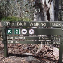 The Bluff Walking Track