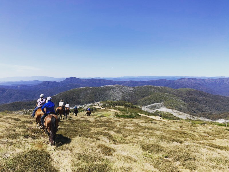 Hidden Trails by Horseback
