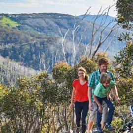 Little Mt Buller