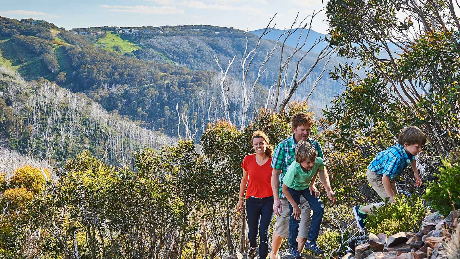 Little Mt Buller