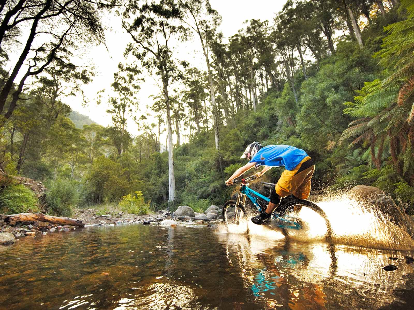 Mt Buller Epic Mountain Bike Delatite River Trail