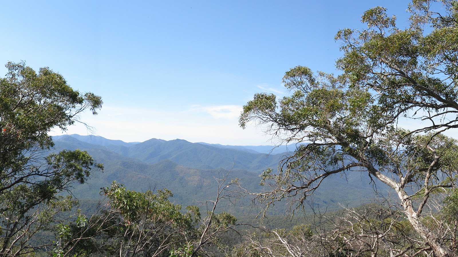 Mt Timbertop (Saddle to Summit)