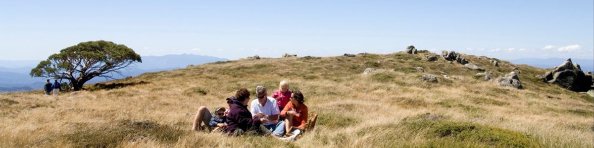 Mt Stirling summer hike family