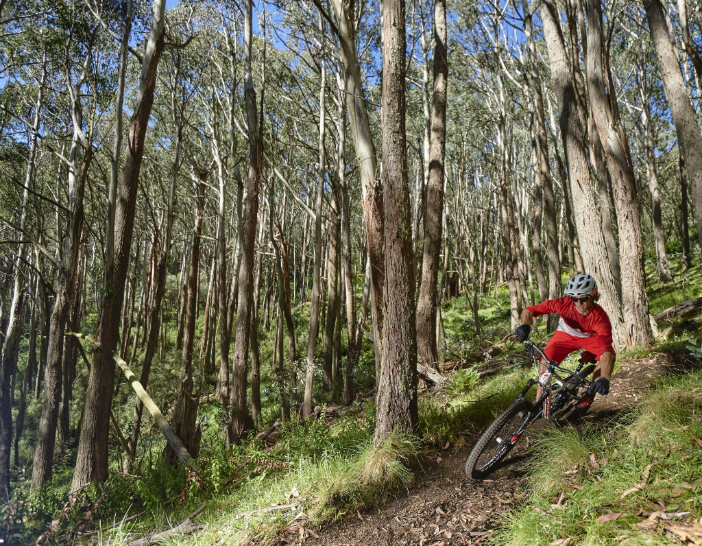 Mt Buller Epic Mountain Bike Park Stonefly Advanced XC