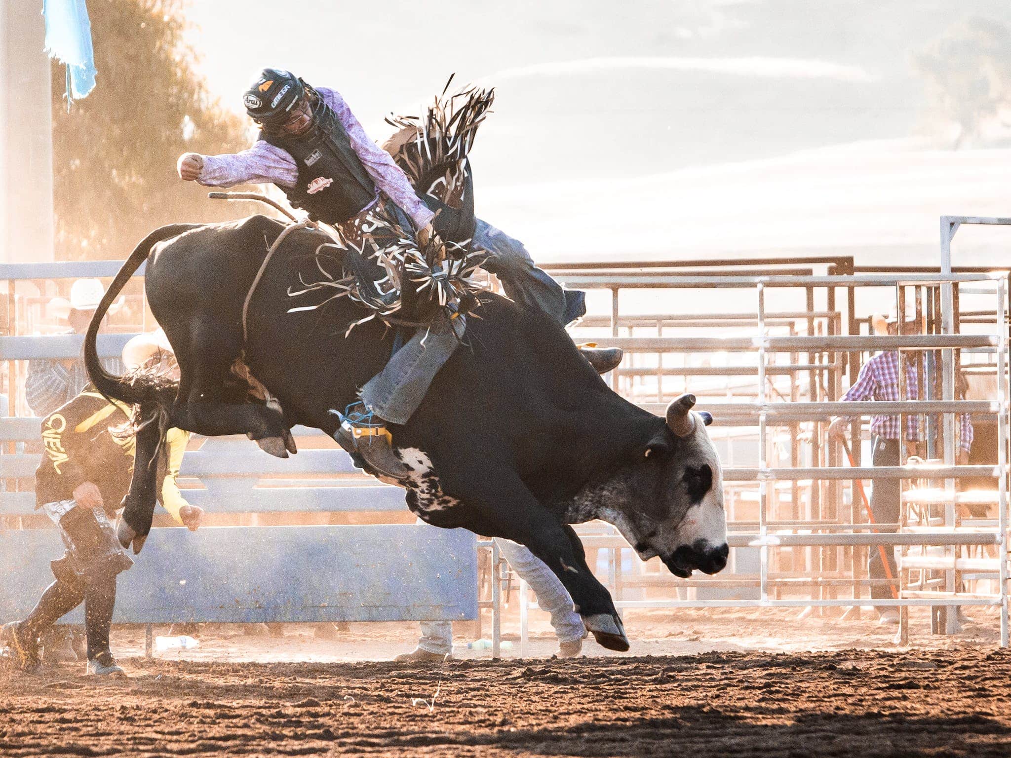 Bull rider hanging on