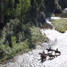 Remote horse riding along pristine rivers