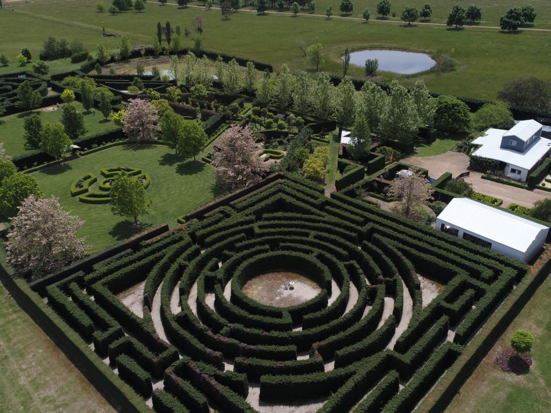 high country maze mansfield mt buller