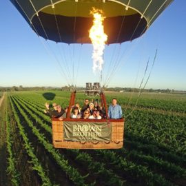 Low flight inspecting vineyards in the King Valley