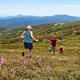 Summit Nature Walk