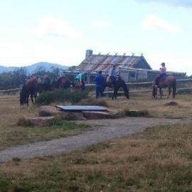 Craig's Hut in the background with some horse back riders from a trail ride in front.