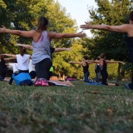Yoga in the Park Mansfield Botanical Park